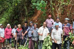 പിഡബ്ള്യു ഡി അവഗണിച്ചു  ചാലിസിറ്റി വെട്ടിക്കാമറ്റം റോഡിലെ കാട് നാട്ടുകാർ വെട്ടിമാറ്റി